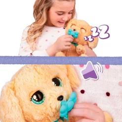 Baby Paws Labrador*IMC Online