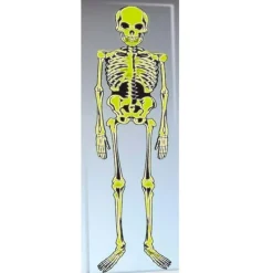 FIESTAS GUIRCA Disfraces Y Complementos|Disfraces Y Complementos-Esqueleto de Decoración