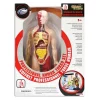 Figura Cuerpo Humano*DRIM DISCOUNT Online