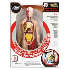 Figura Cuerpo Humano*DRIM DISCOUNT Online