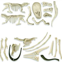 Jurassic World Pack Excavación T-Rex & Pteranodon*CLEMENTONI Clearance