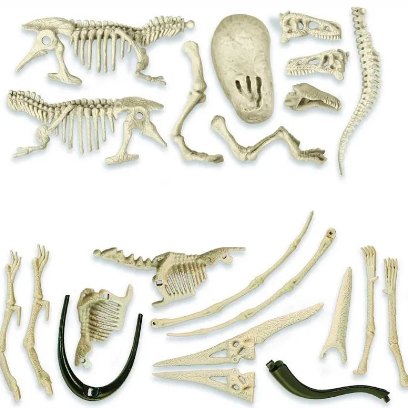 Jurassic World Pack Excavación T-Rex & Pteranodon*CLEMENTONI Clearance