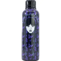 Miércoles Botella Acero Inoxidable 515 ml*STOR New