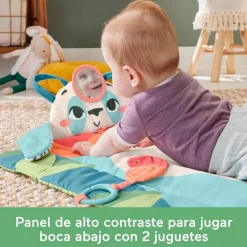 Planet Friends Alfombra Panda 3 en 1 Actividades*FISHER PRICE Sale